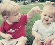 合成生物學(xué)：造物主的新角色