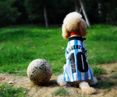 助力醫(yī)院提升診斷效率與準確性